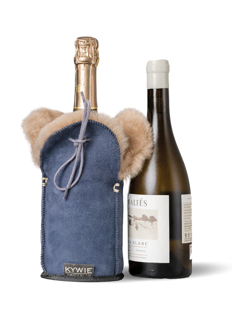 kywie champagne blue suede