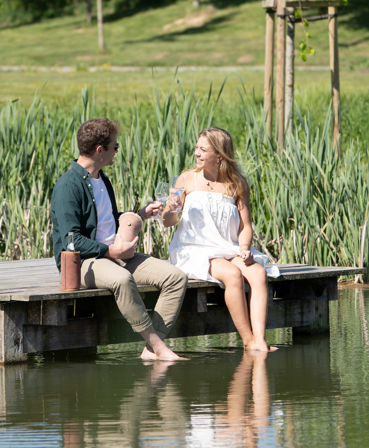 kywie wine terra suede