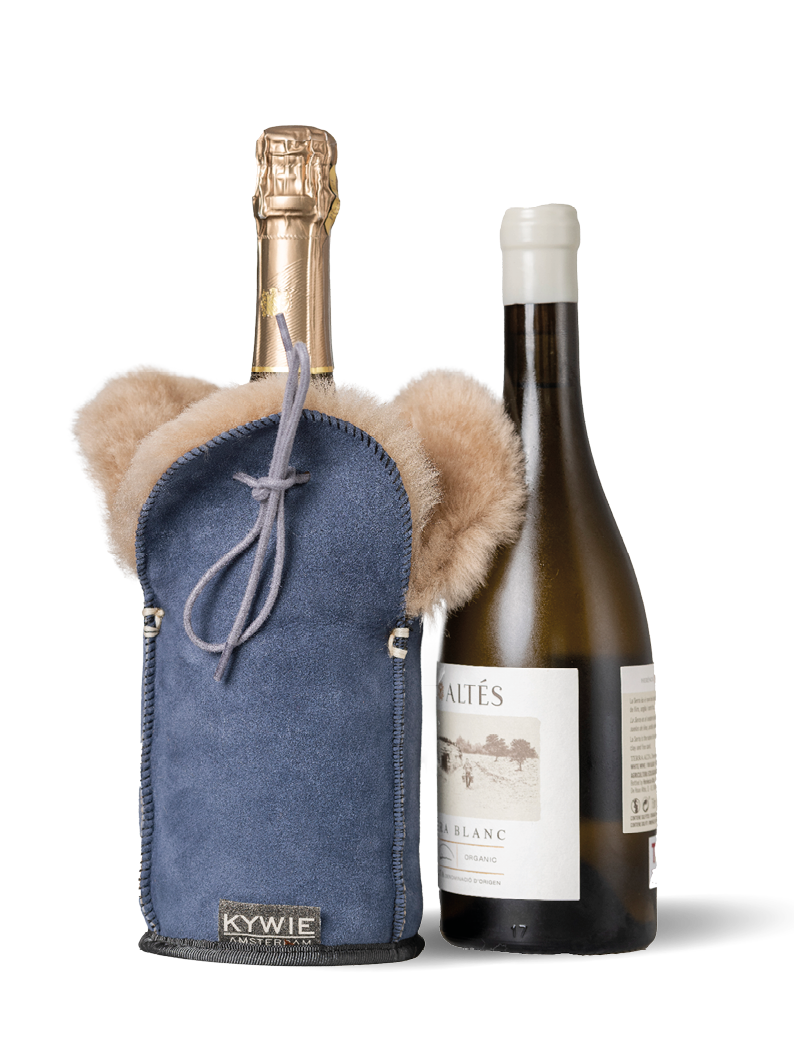 kywie champagne blue suede