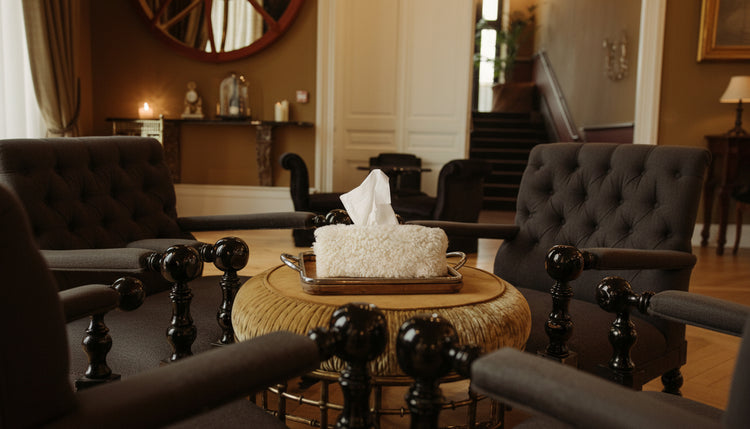 kywie tissue box cover natural curly